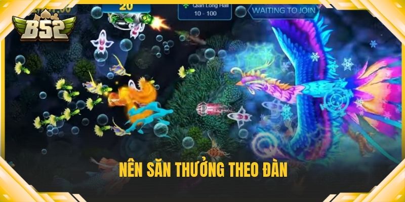 Nên săn thưởng theo đàn